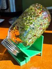 Sprouting Jar Holder by Phil | Download free STL model | Printables.com