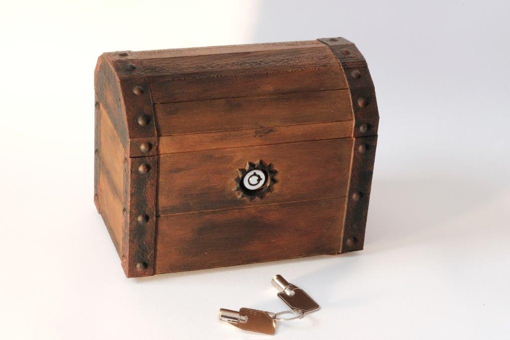 Tresure Chest with Hard Disk Lock