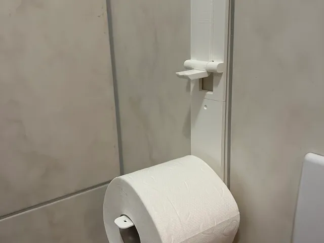 Toilet Paper Storage System with folding hooks