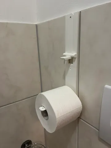 Toilet Paper Storage System with folding hooks