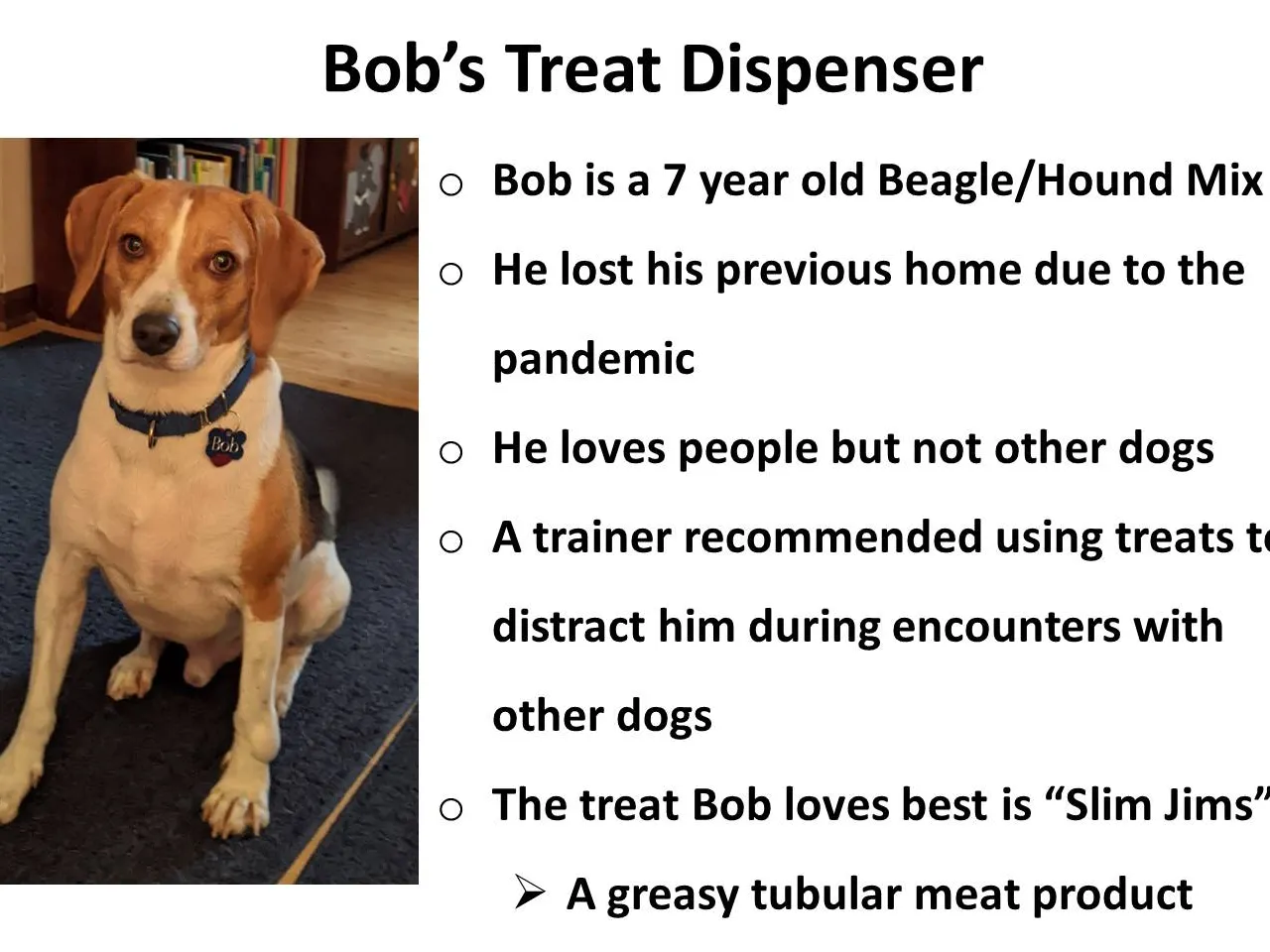 Are Slim Jims Good For Dogs