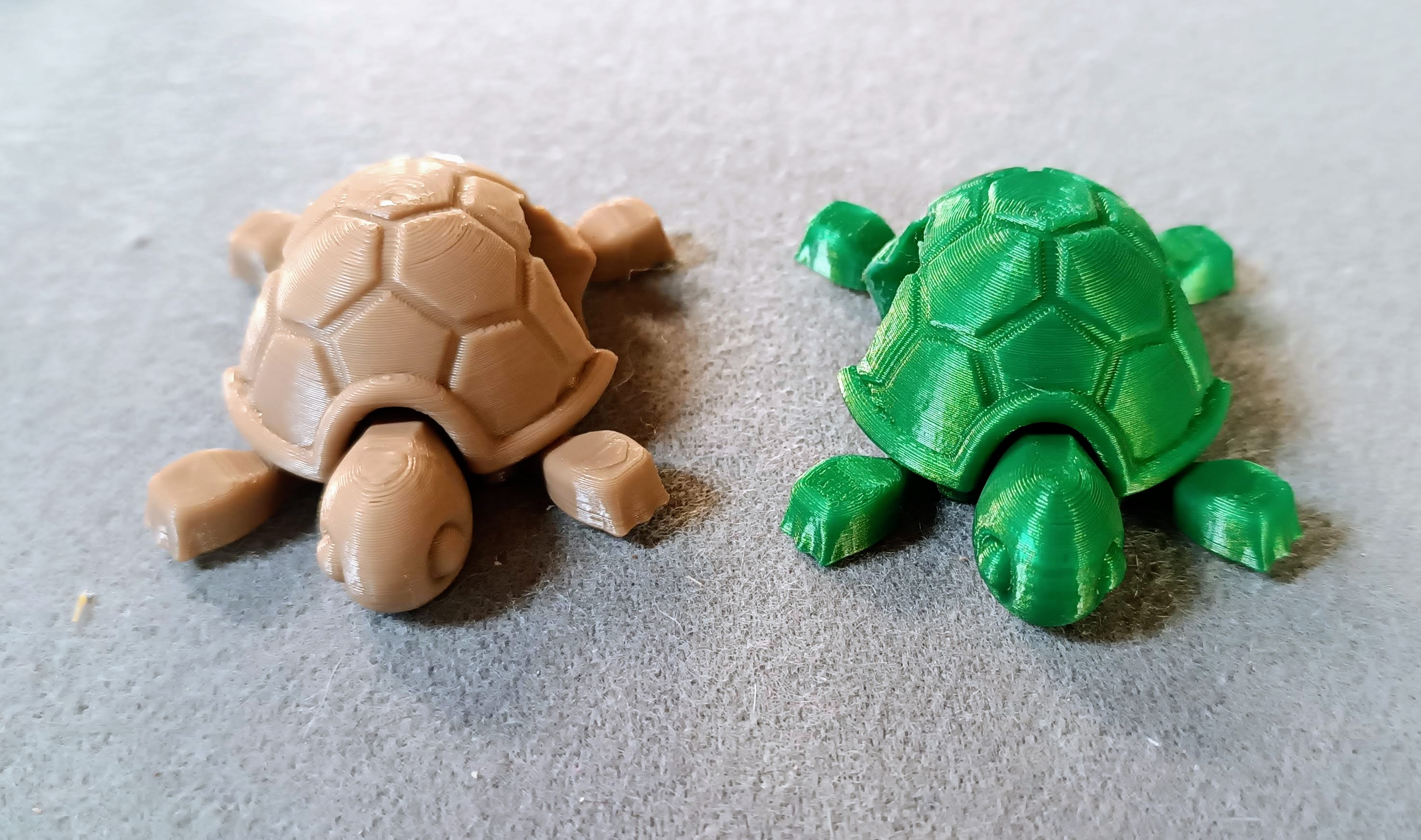 turtle-scout-and-wagggs-woggle-by-baloo-3d-download-free-stl-model