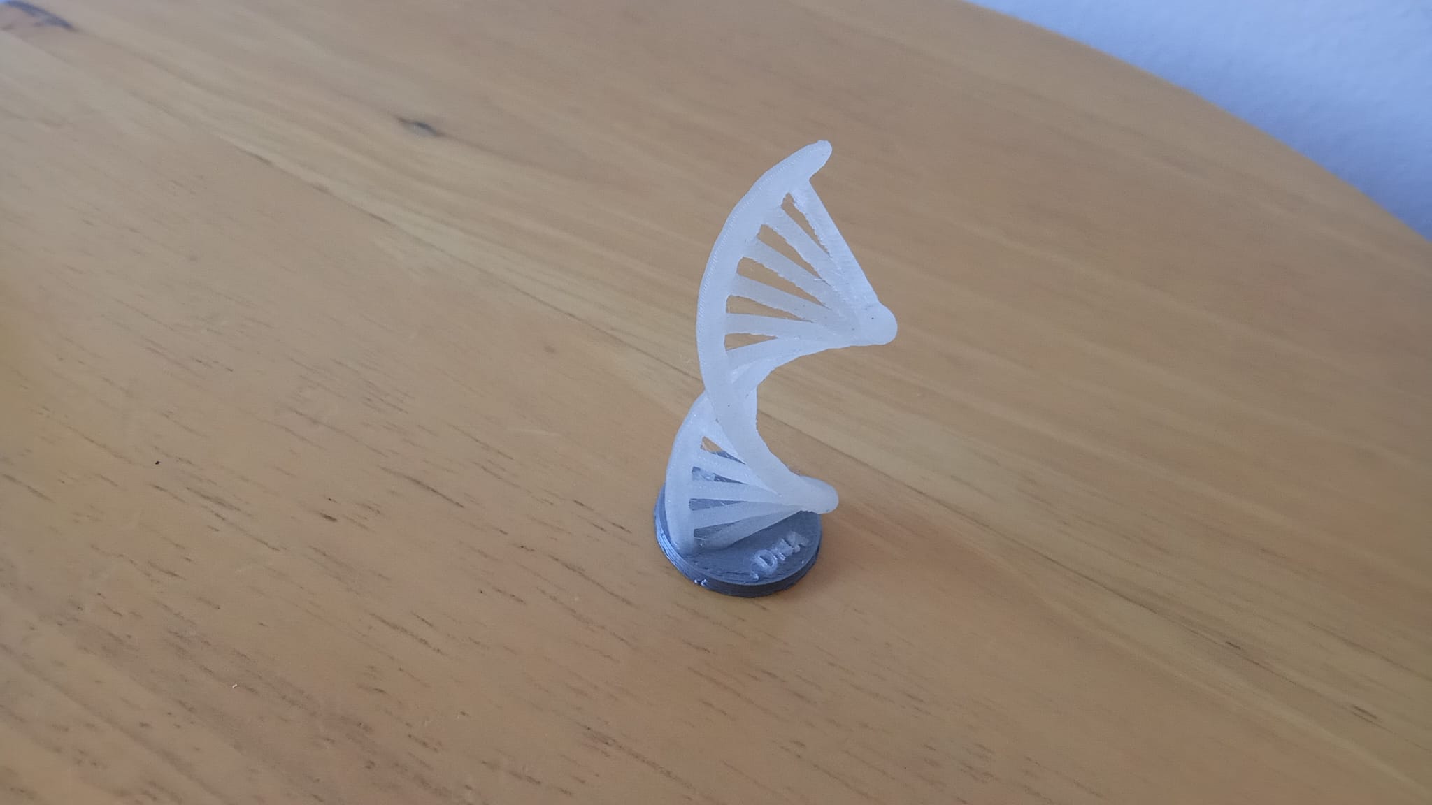 DNA model