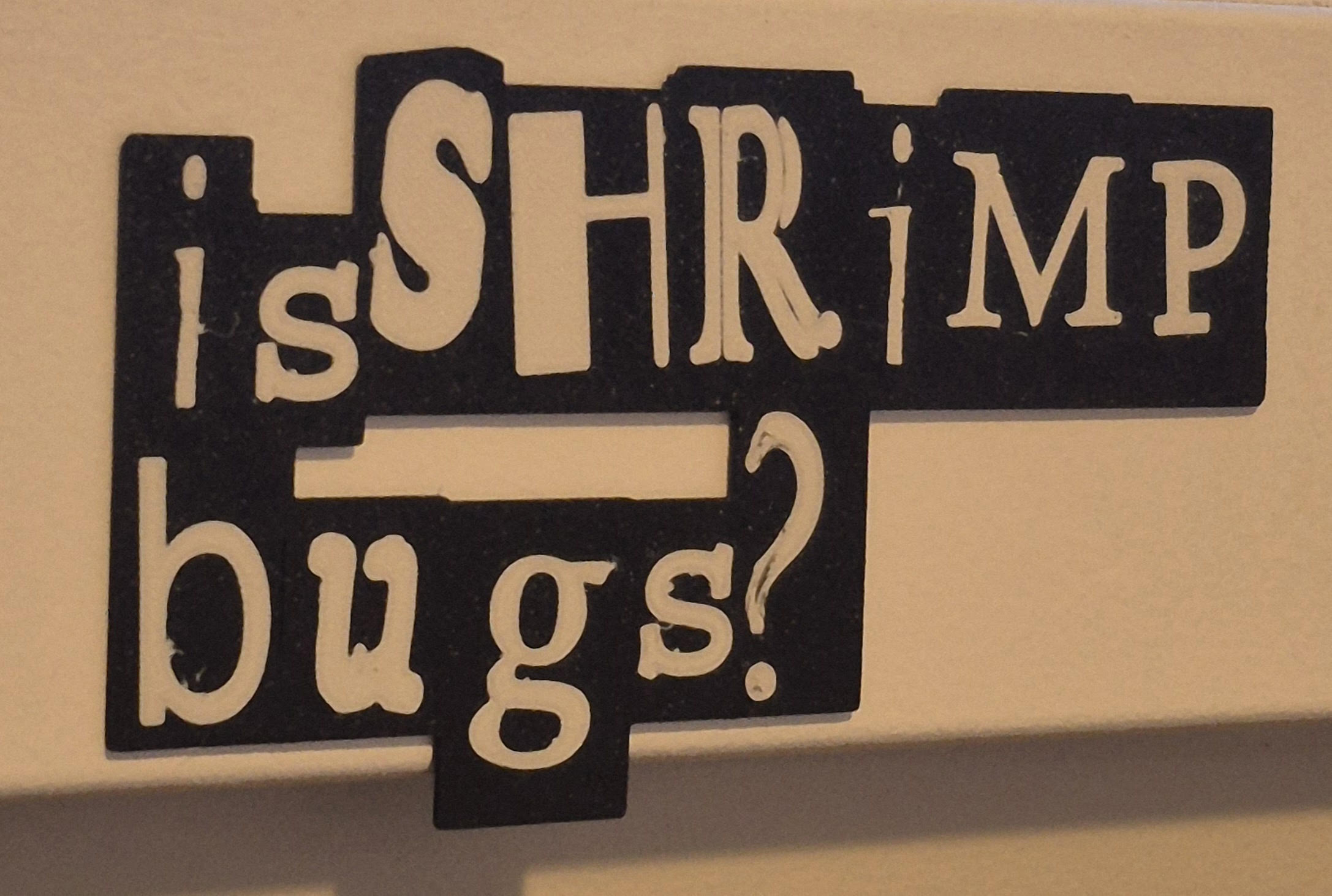 Is Shrimp Bugs? Wall Art