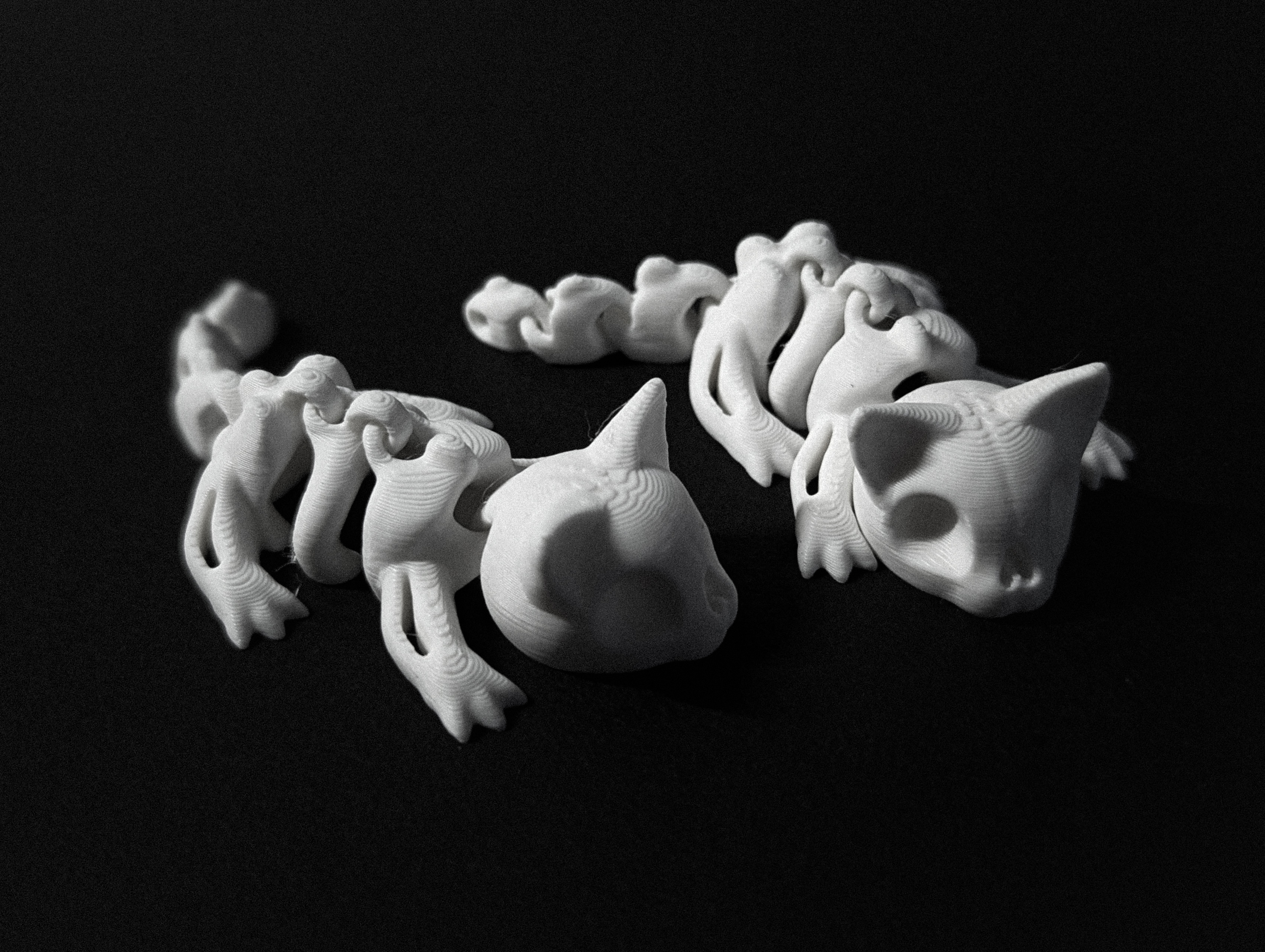 Flexi Skeleton Cat