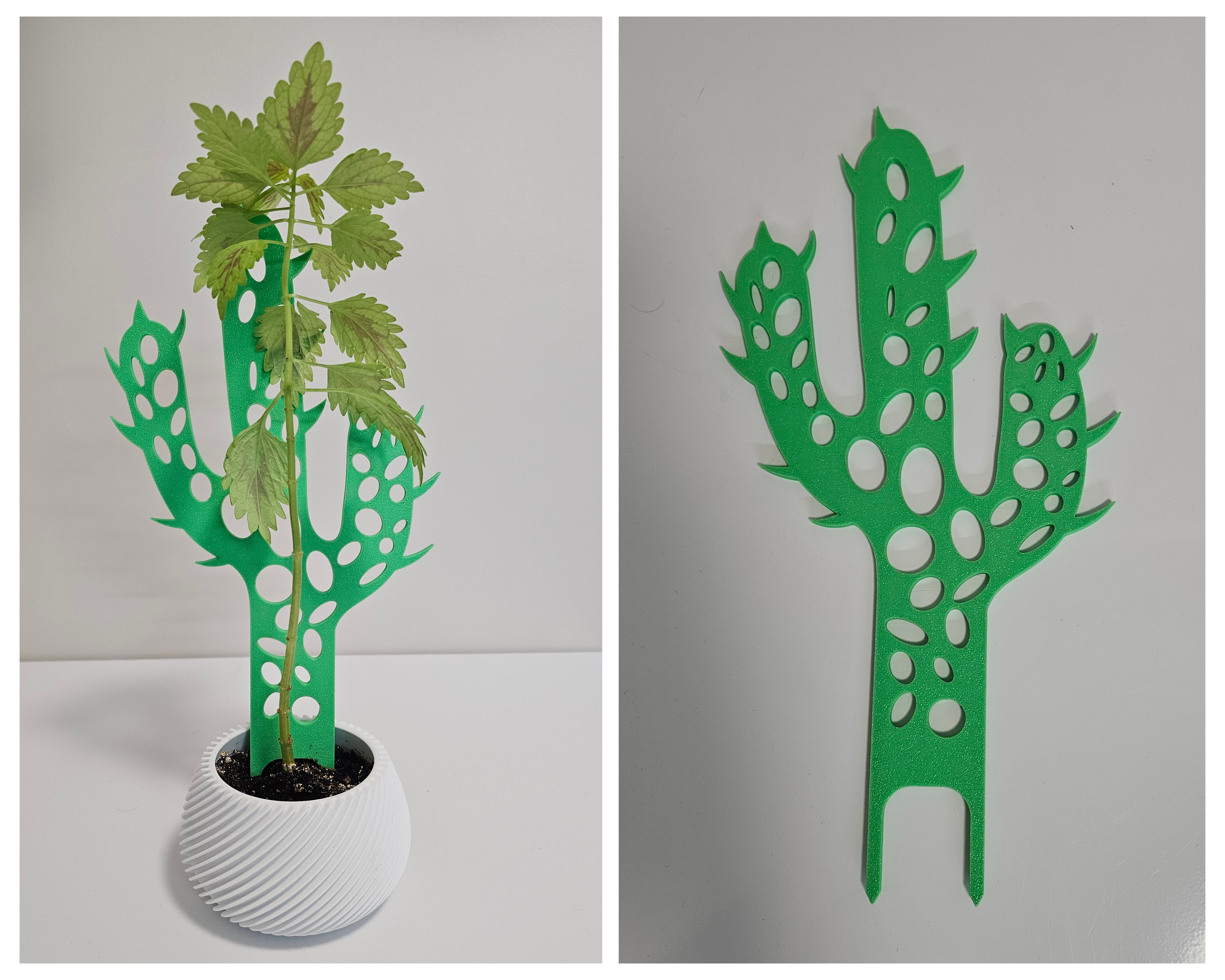 Support for plants. Plant Trellis. Cactus.