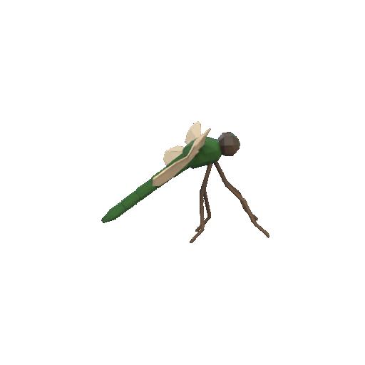 Low poly dragonfly — miniatura 2