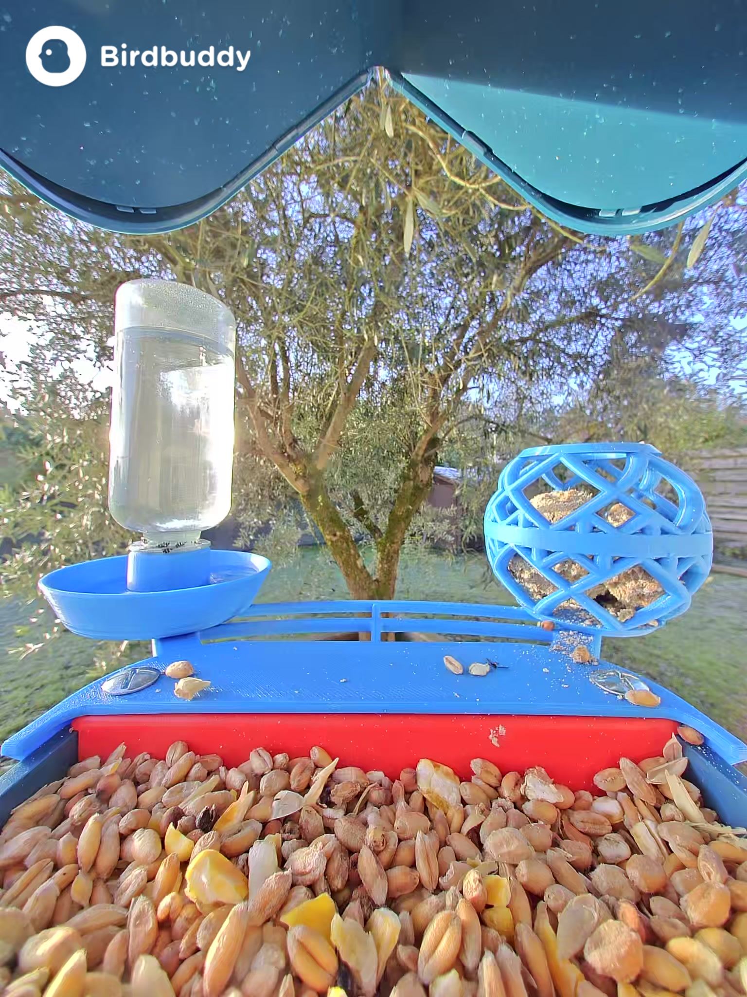 Bird Buddy Perch Extension