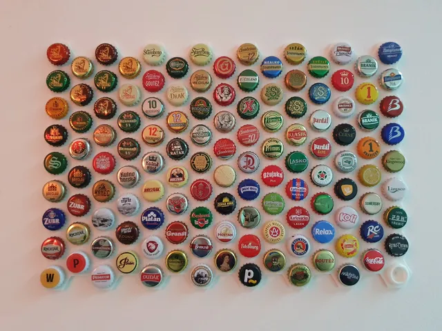 Beer cap wall mount