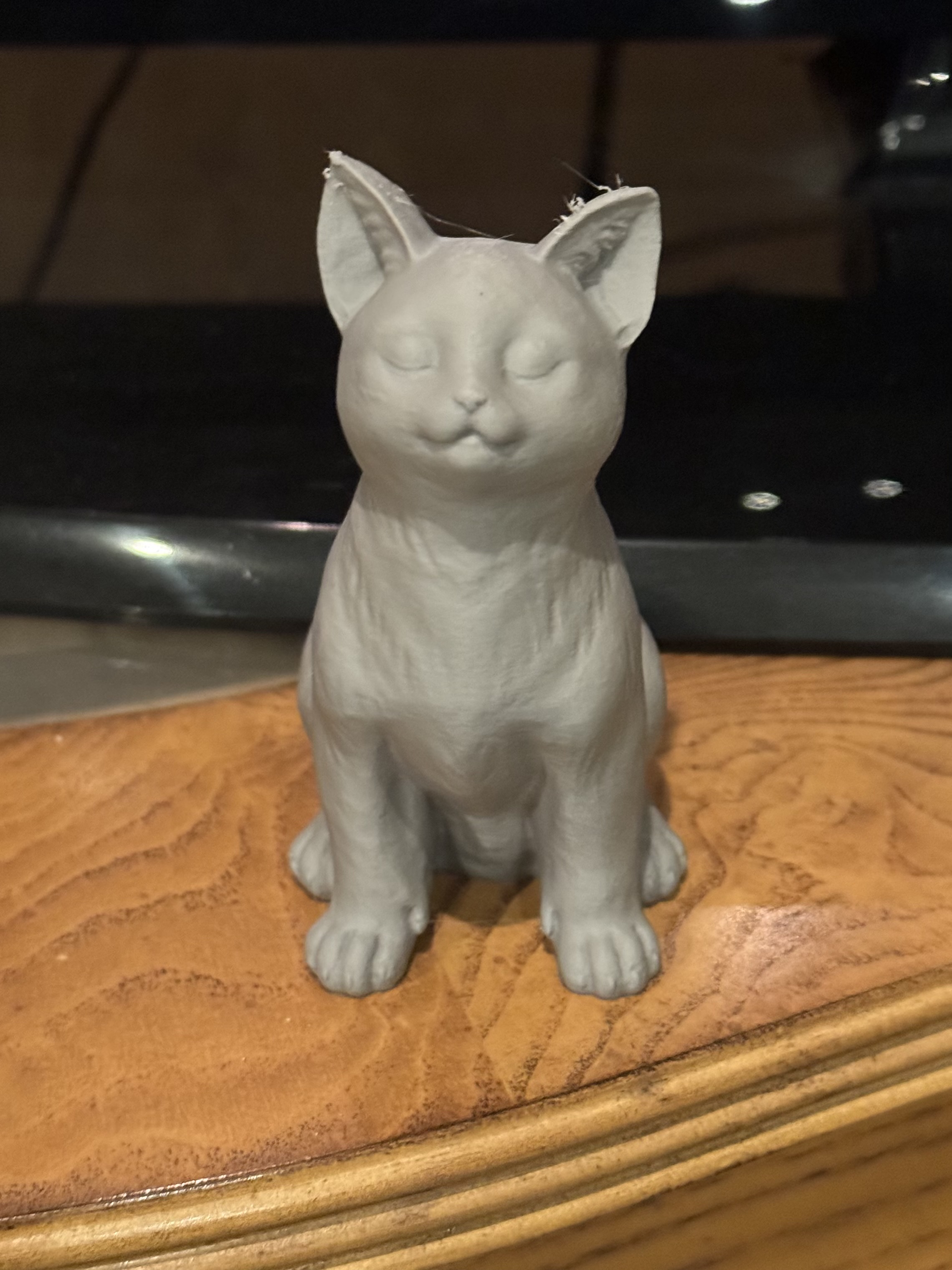 Sitting Kitten