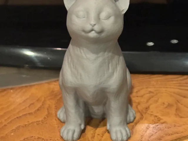 Sitting Kitten
