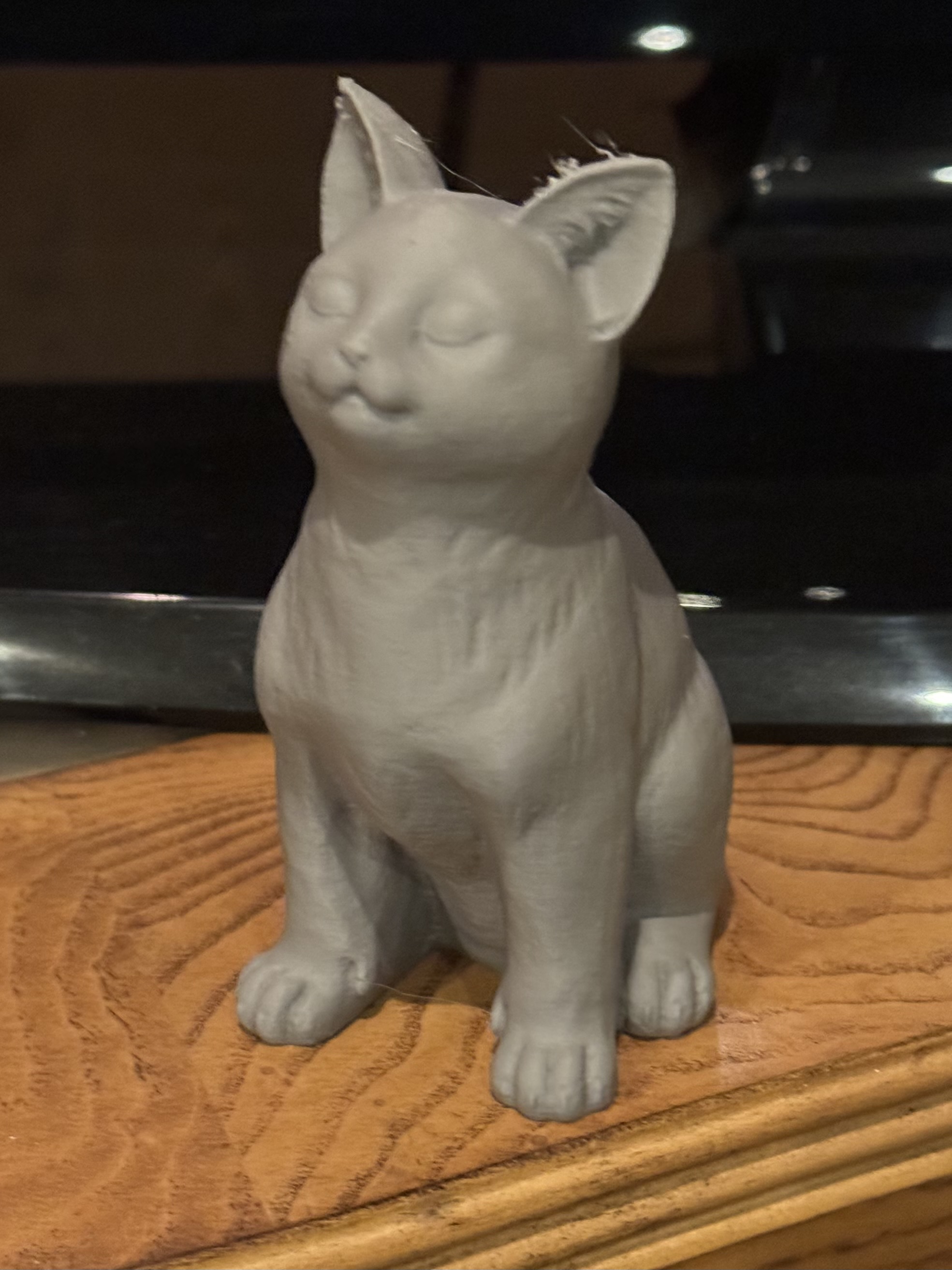 Miniatura 2 do modelo 3D Sitting Kitten