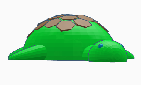 Swimming turtle