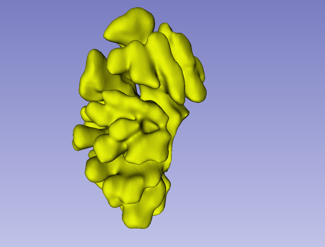 Kidneys — thumbnail 2