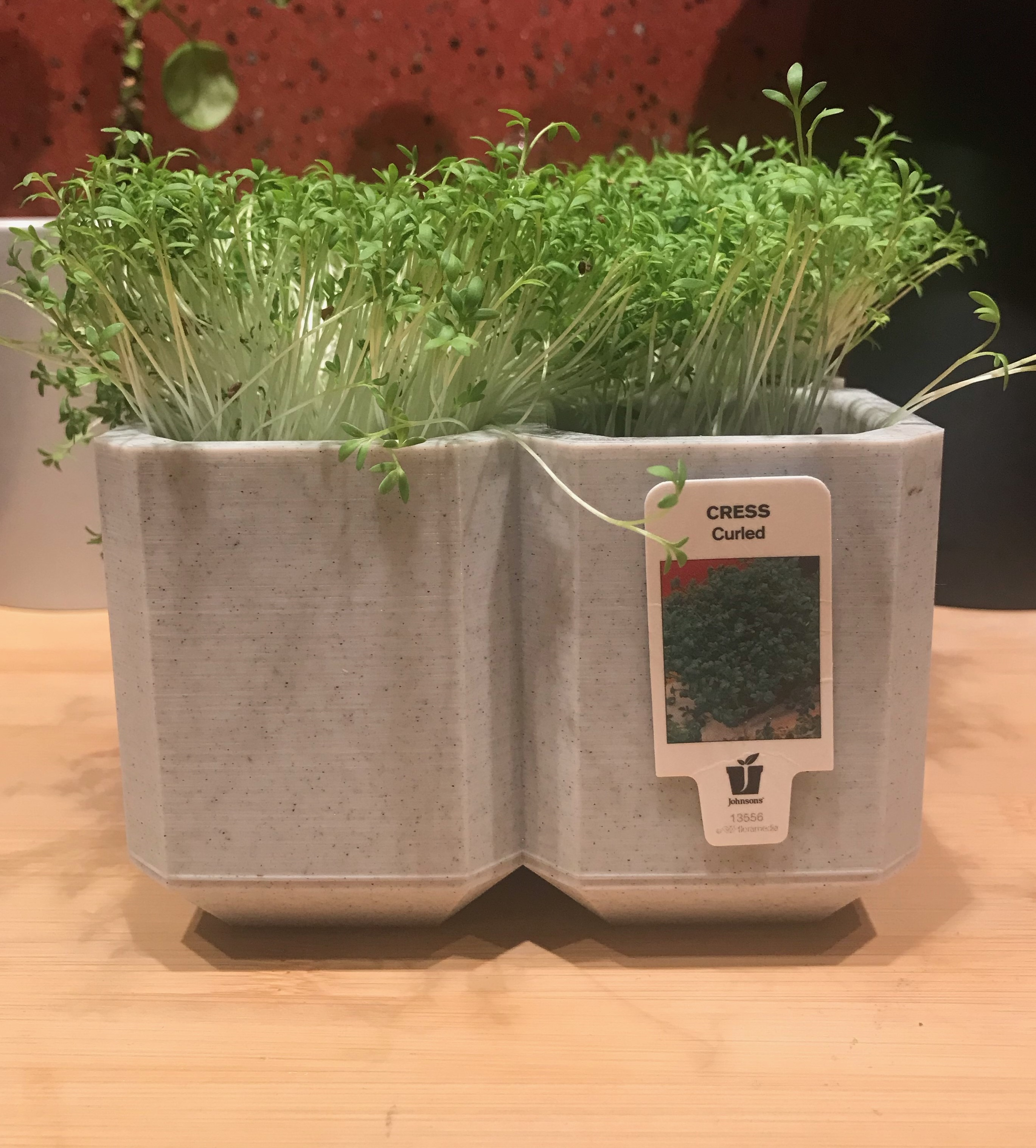 Multi-port plant pot