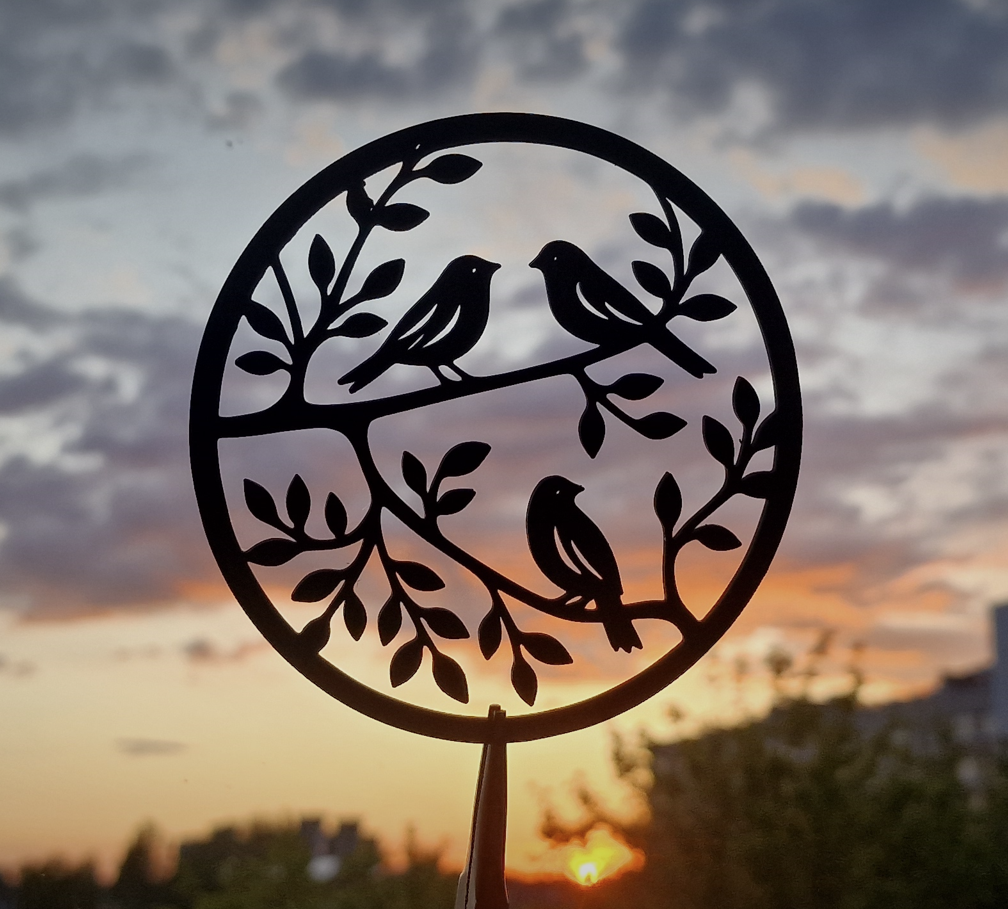 Bird silhouette