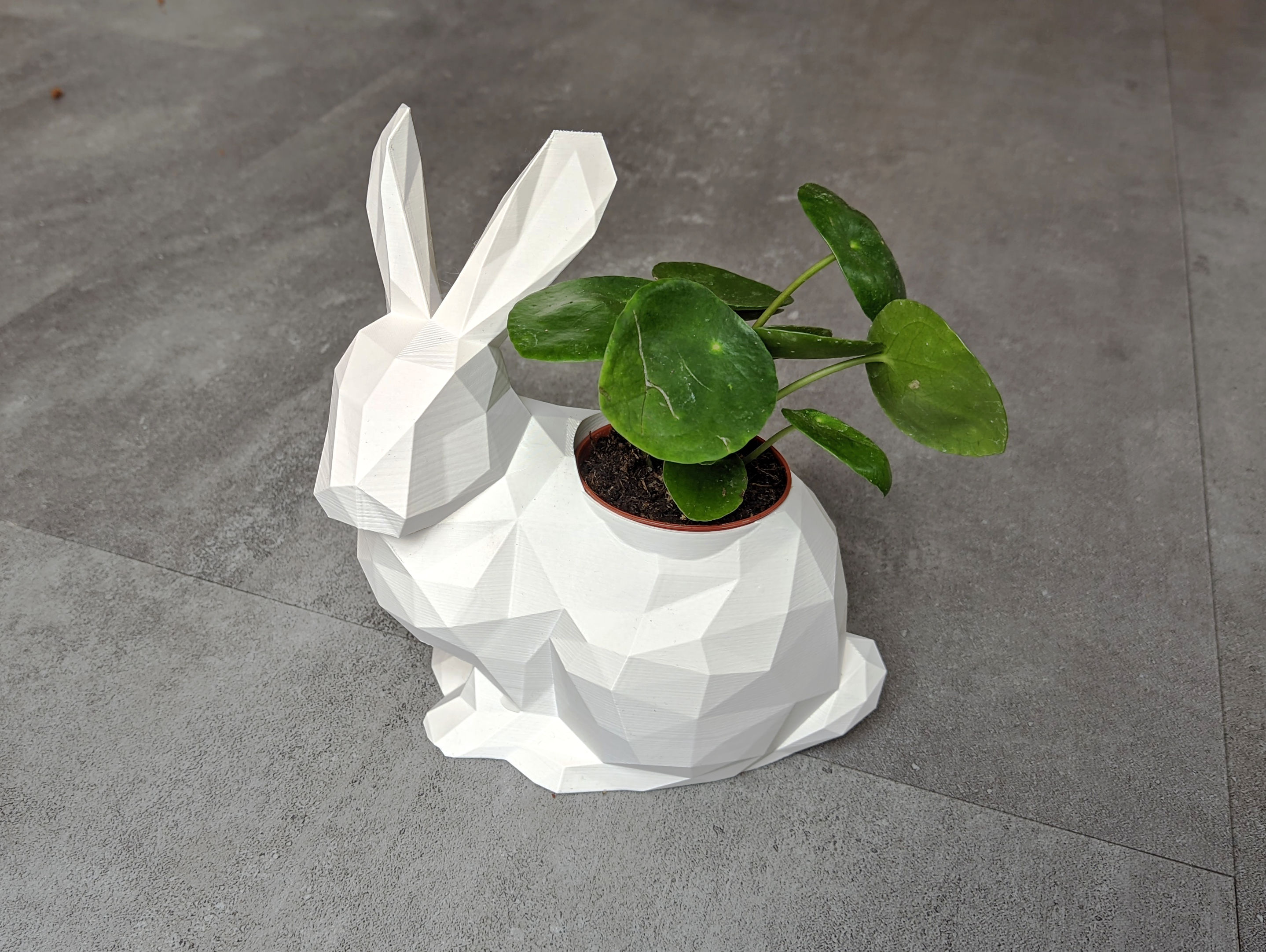 Low Poly Bunny (+Planter Option)