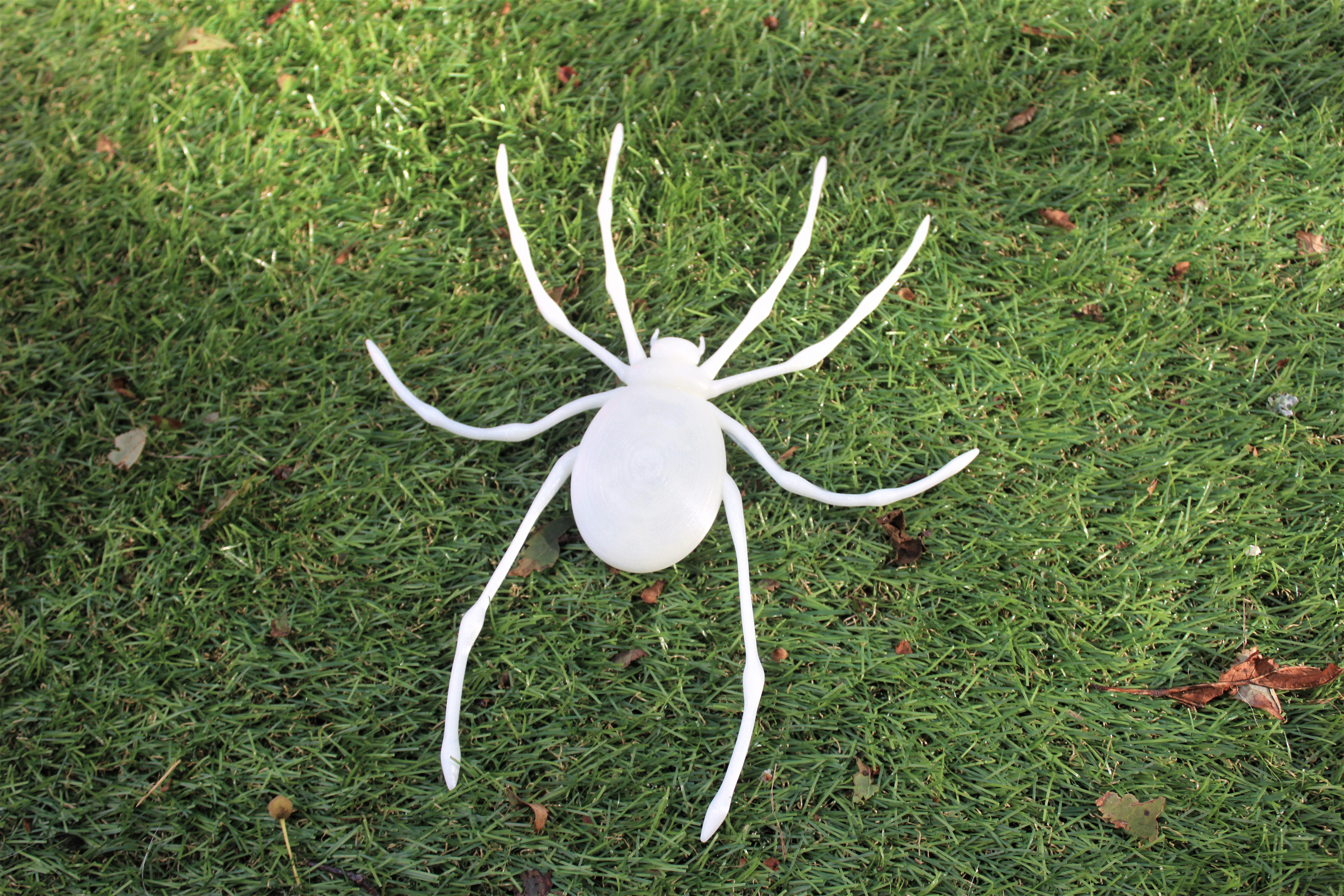 Spider Decoration