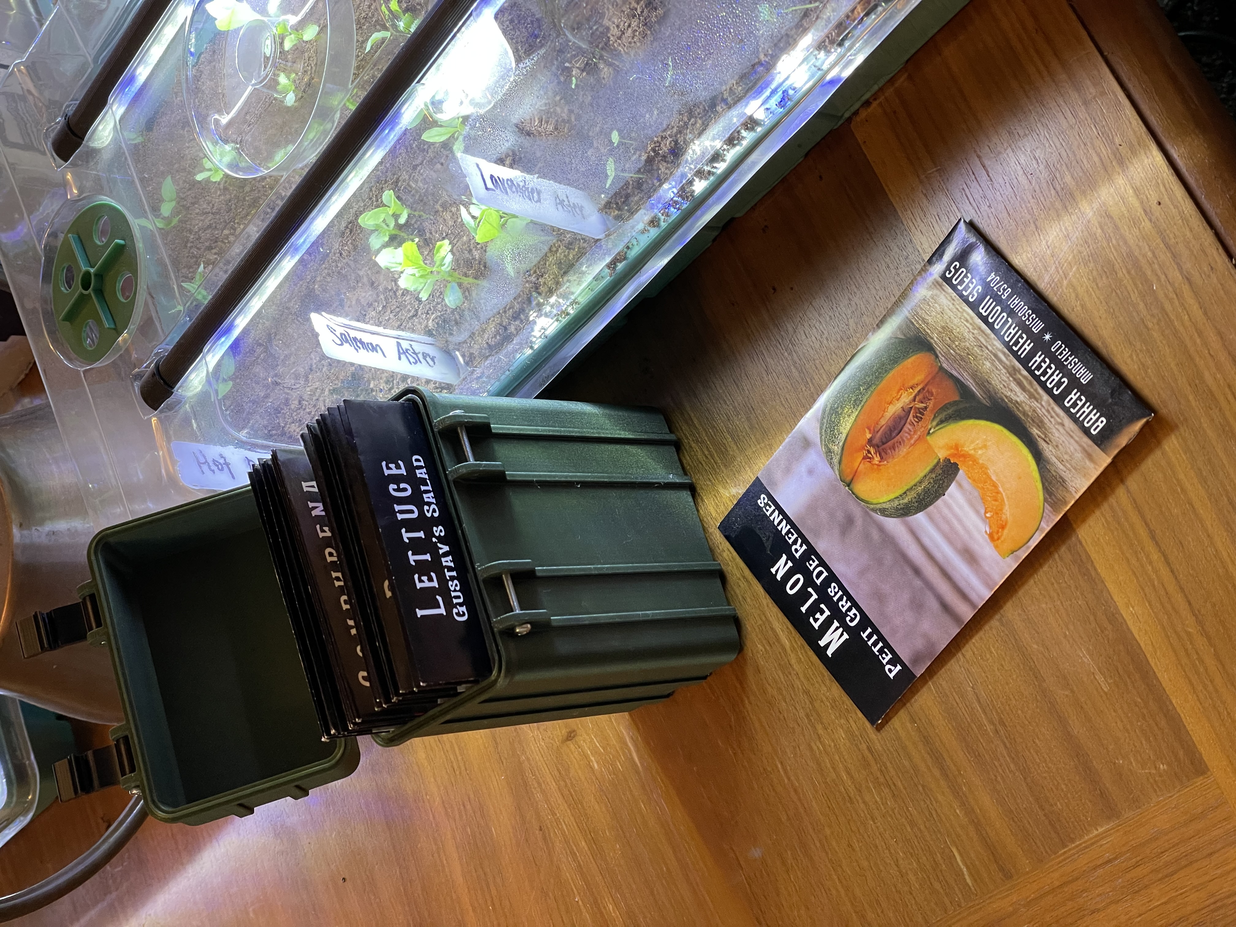 Seed Packet Storage Box for Baker Creek Heirloom Seed Co