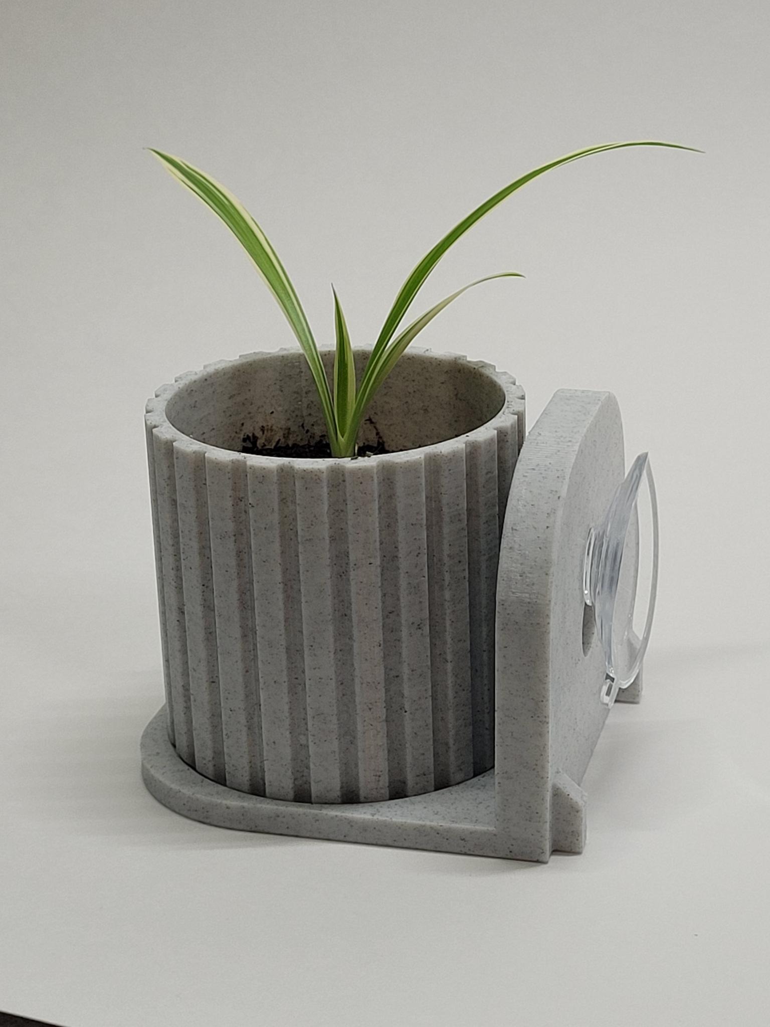 Modern Planter and Suction Cup Holder