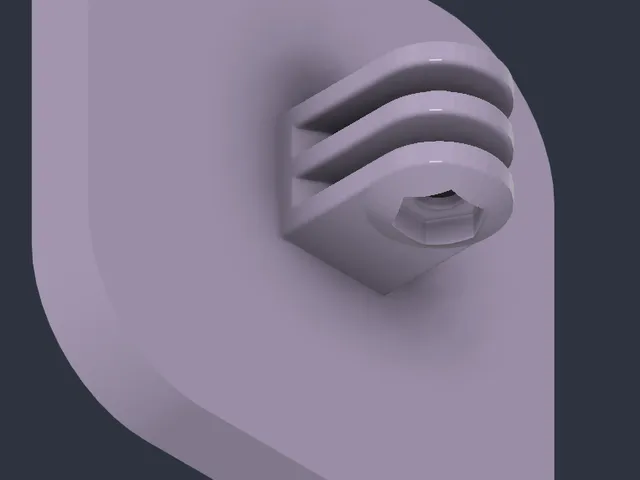 Go pro magnetic mount