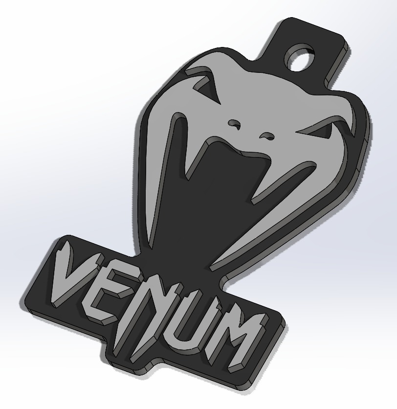 Venum Keychain