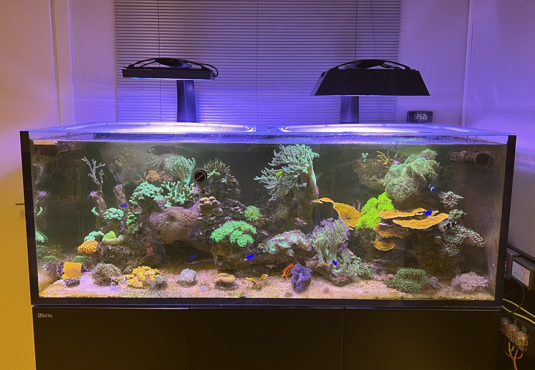 XR30 G6/G5 Ecotech Radion Light Shade by Kevin Martens Download free