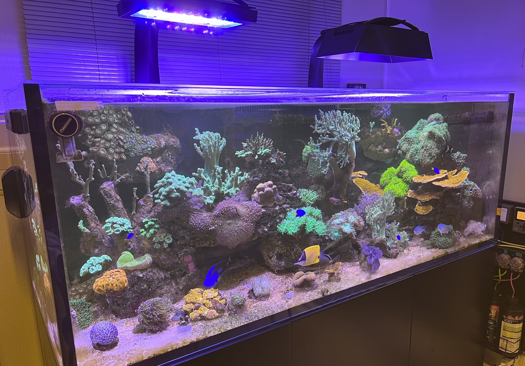 XR30 G6/G5 Ecotech Radion Light Shade by Kevin Martens Download free