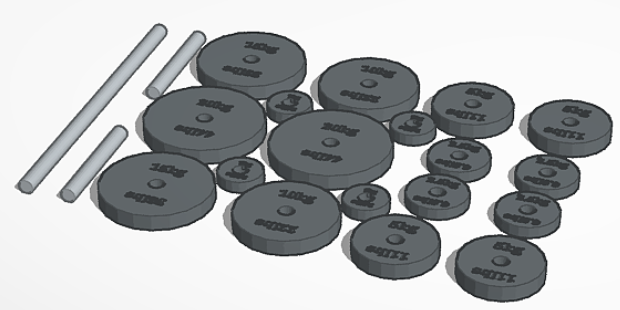 gym equipment for lucky/dummy 13 (including weights)