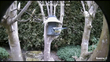 Vogelfutterhaus — miniatura 5