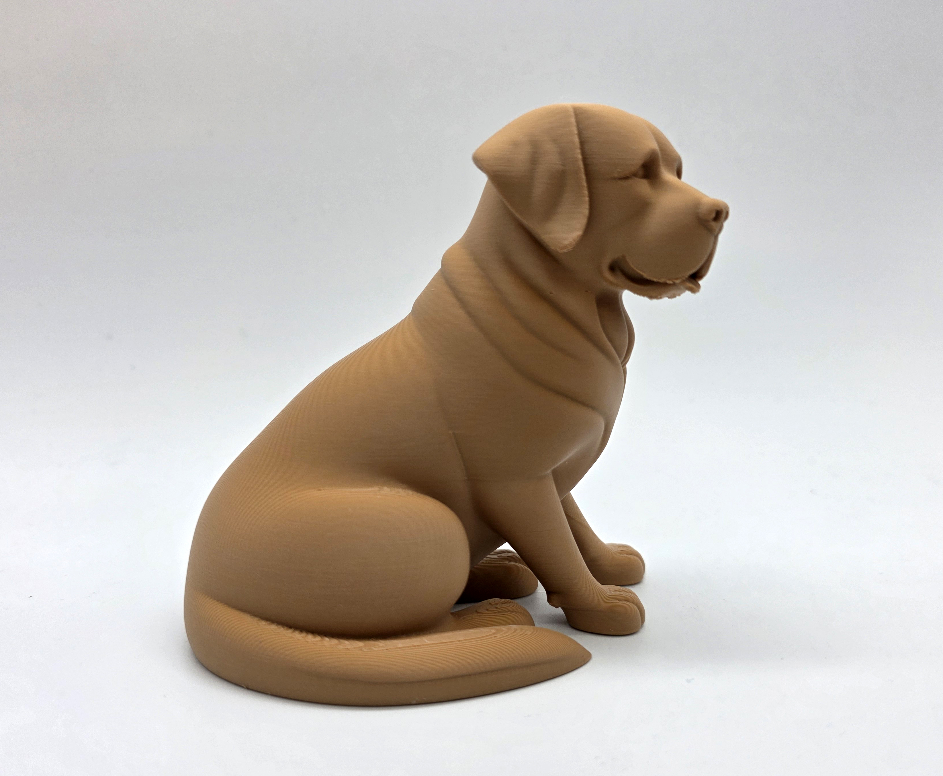 Seated Labrador Retriever Puppy — miniatura 4