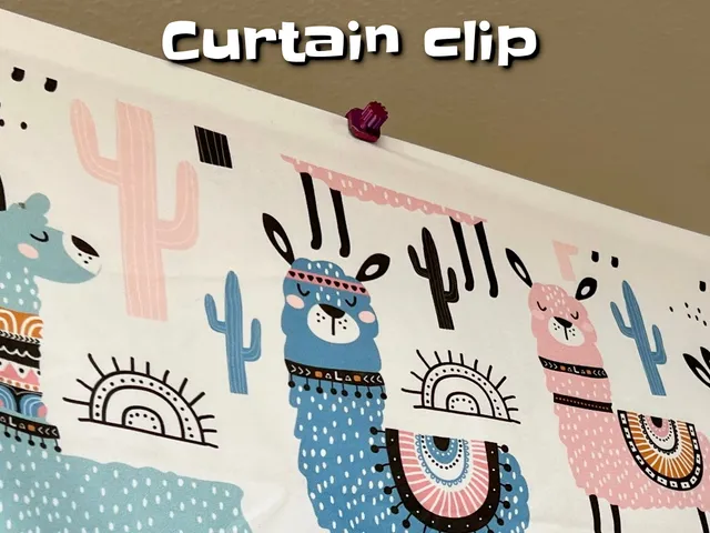 Curtain clip