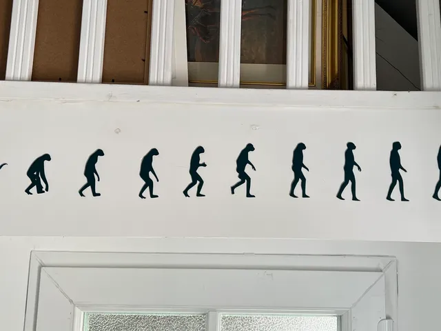 Darwin's Theory of Evolution Wall Art #1