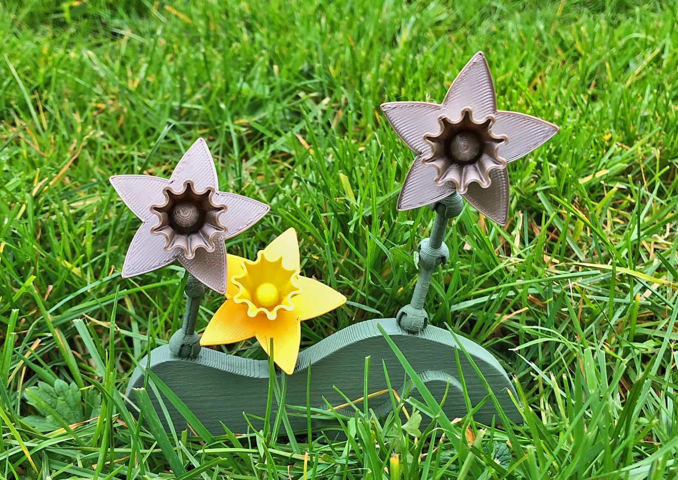 Miniatura 2 do modelo 3D Daffodil