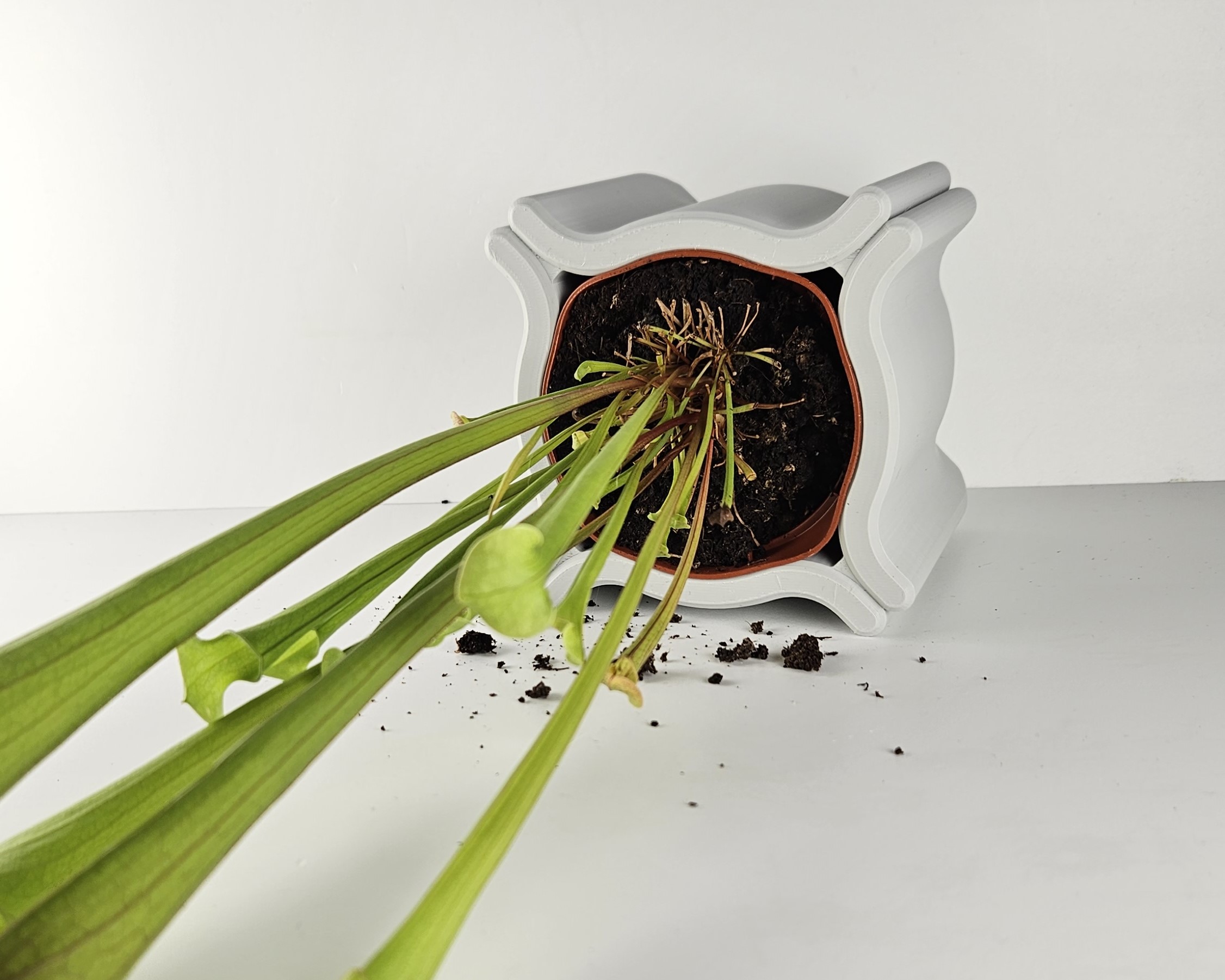 Omni Planter
