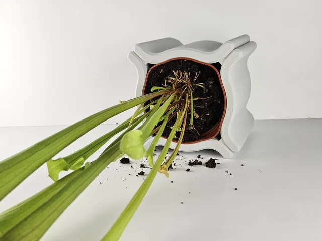 Omni Planter