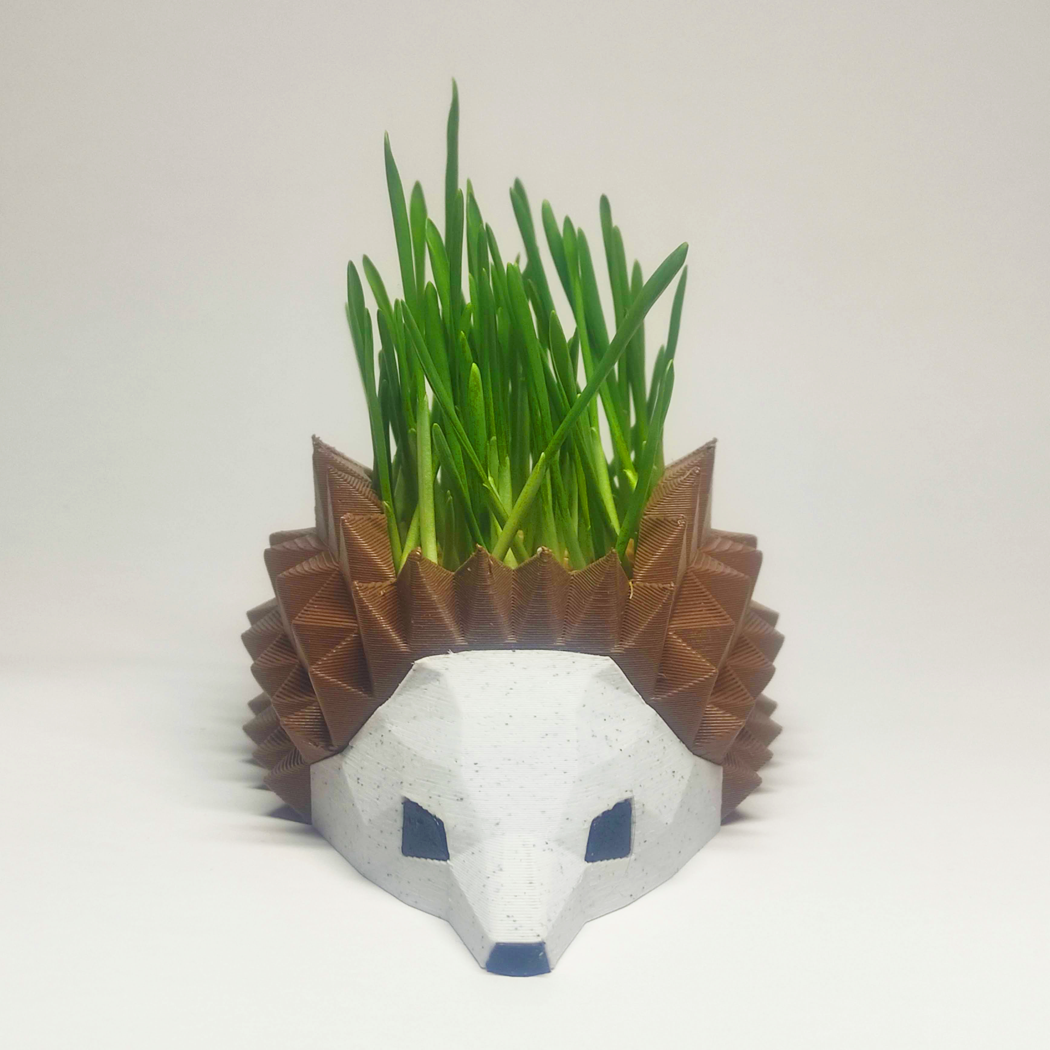 Hedgehog Planters, Seeds starter