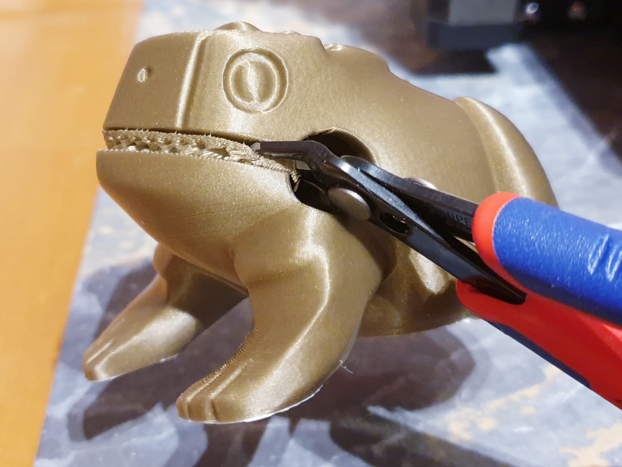 Percussion frog with support only in the mouth by Lucretia Download