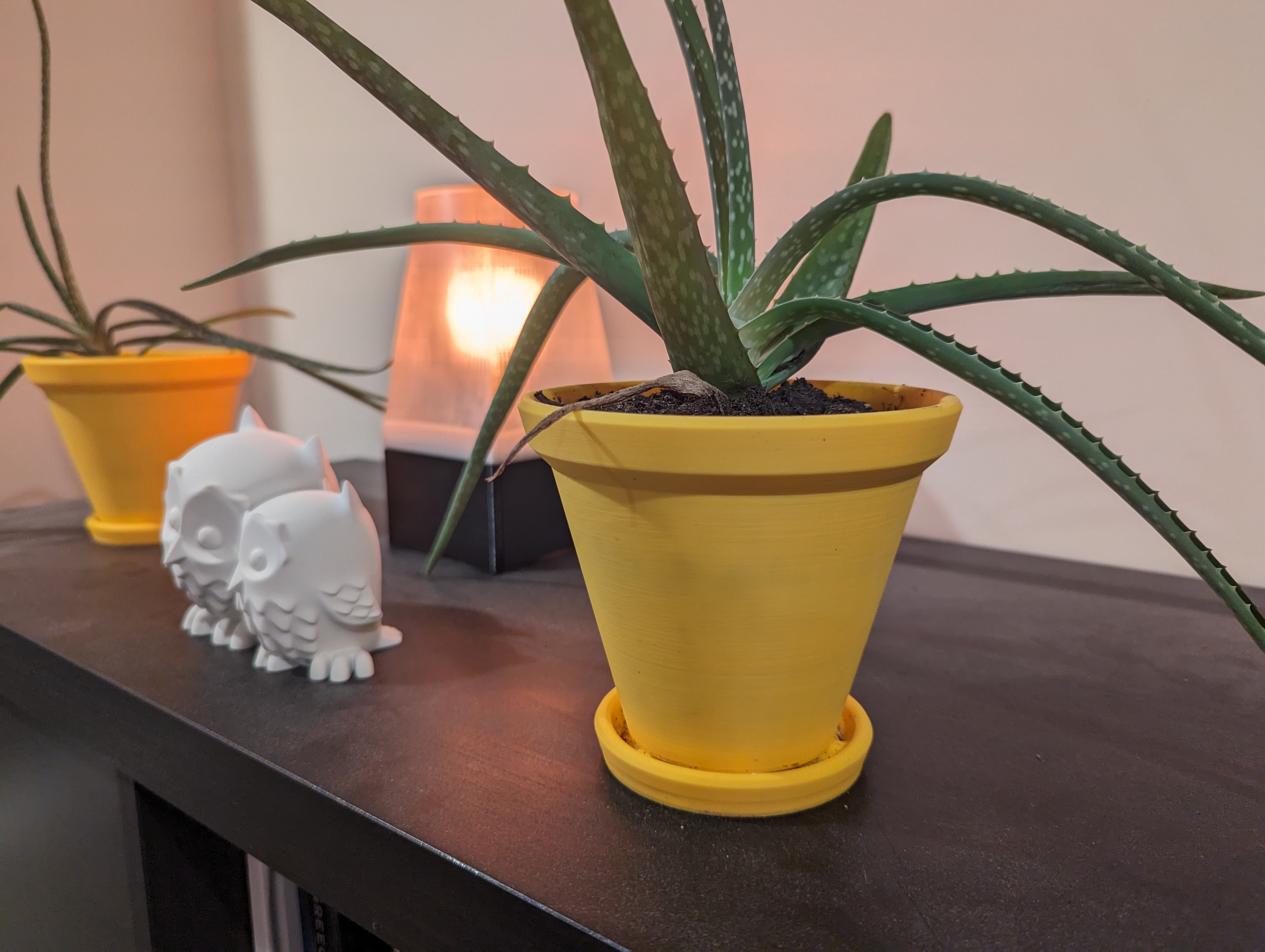 Plant Pot