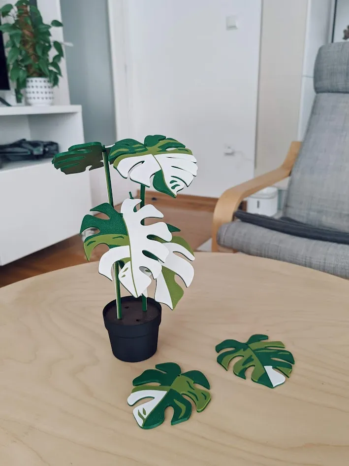 Monstera variegata plant with 6 leaf coasters by shelby-eleanor, Download  free STL model