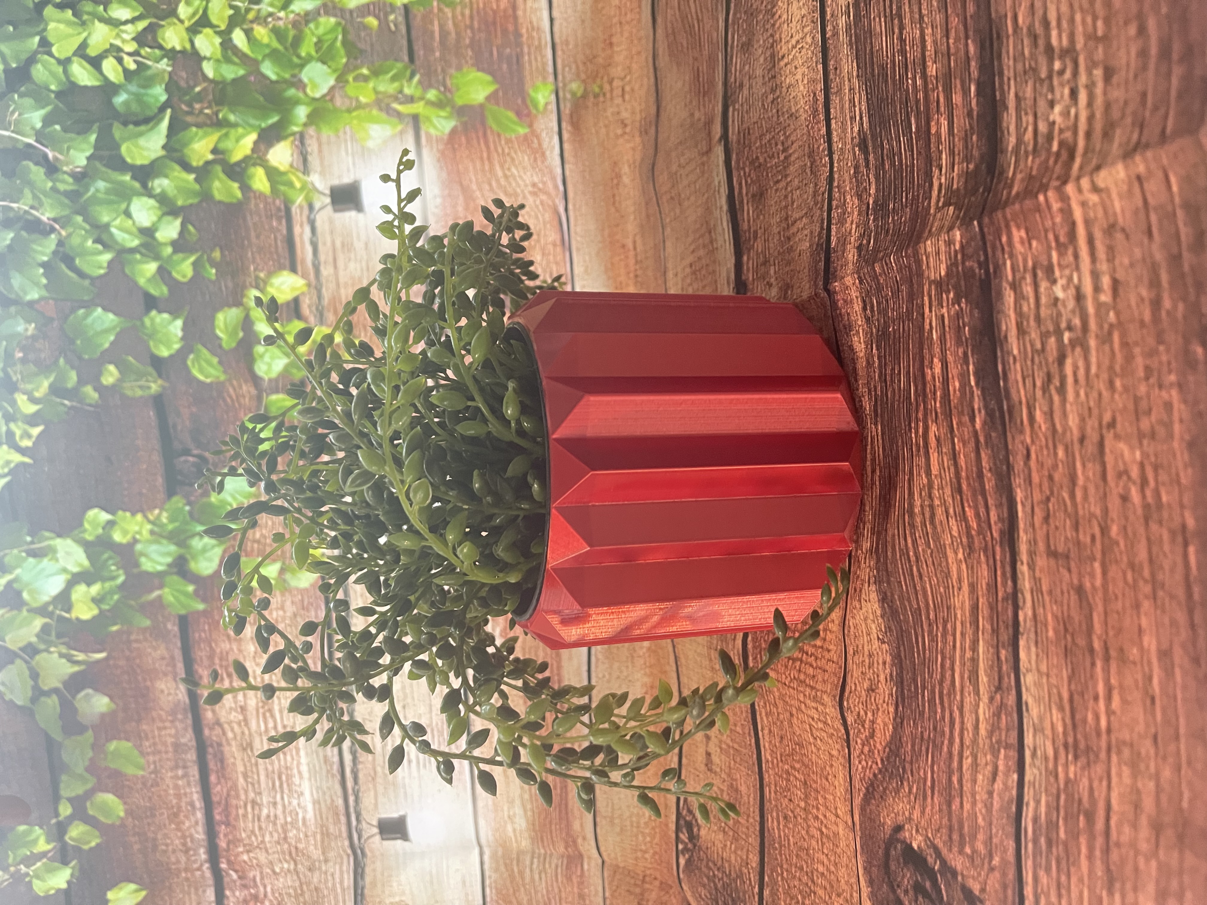 PLANT POT
