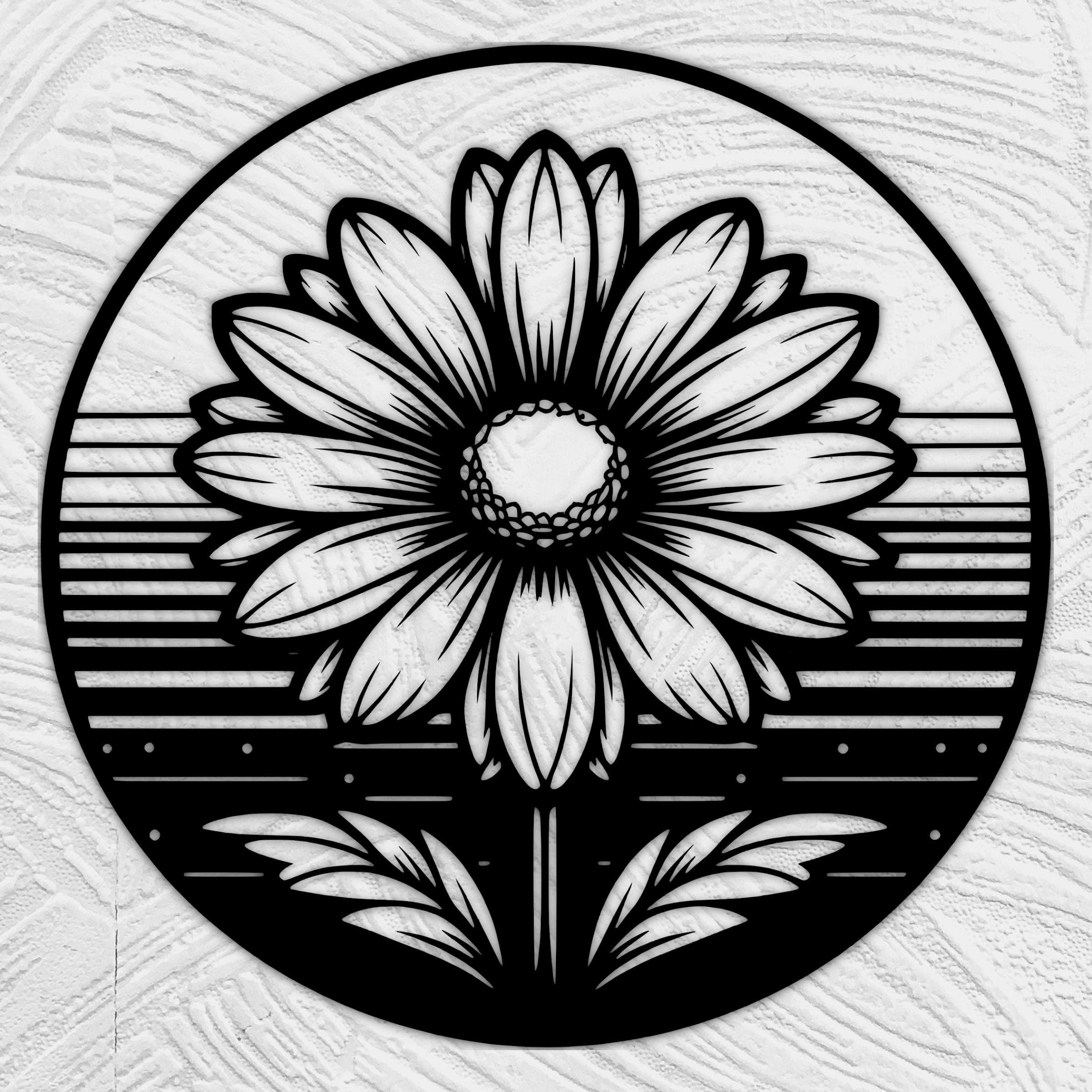 Daisy flower