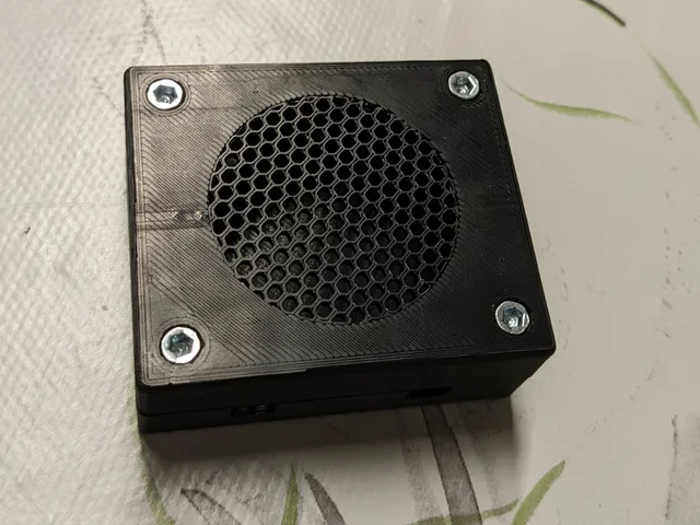 HW-404 D-Class amplifier case