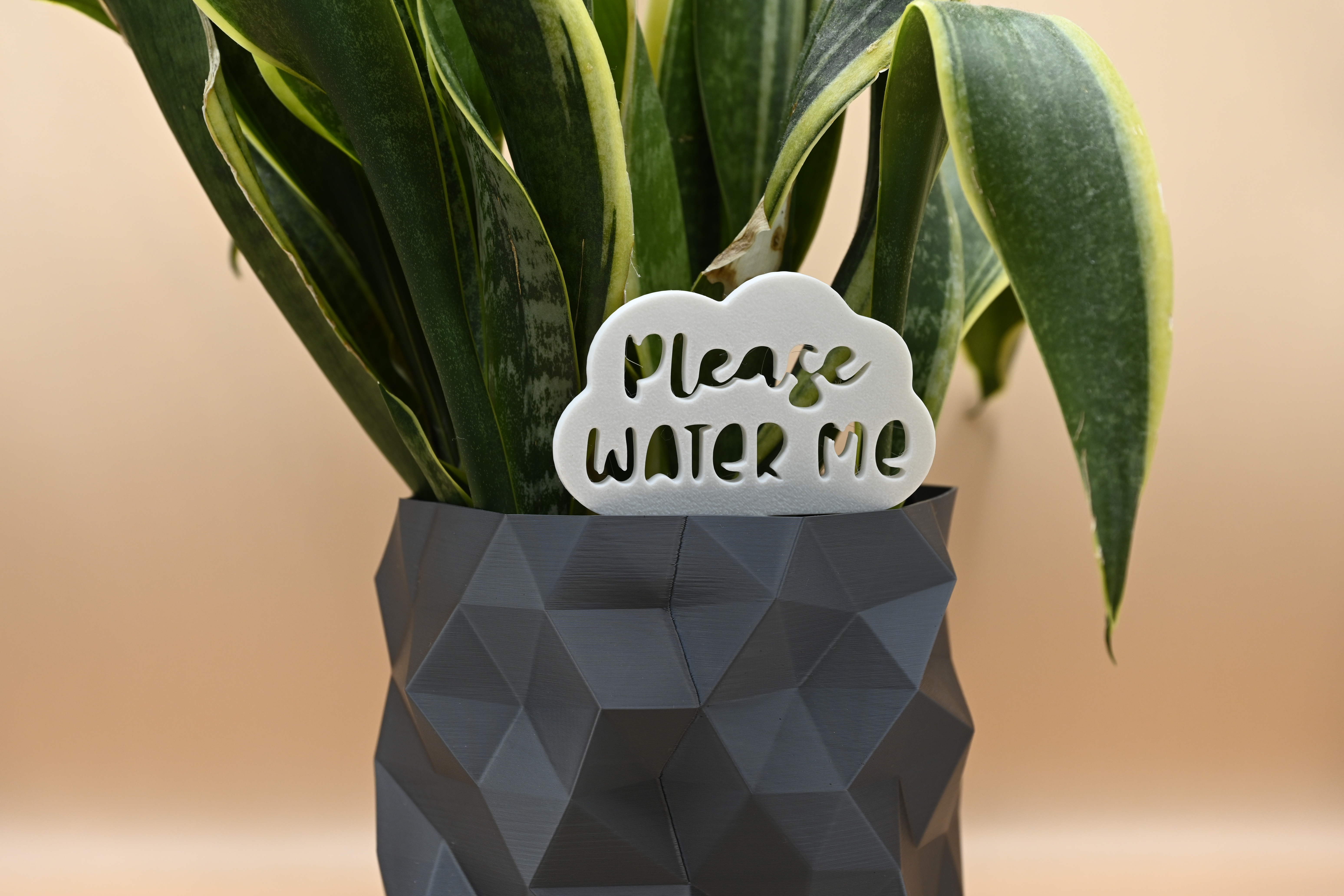 Please Water Me Sign for Indoor and Outdoor Plants