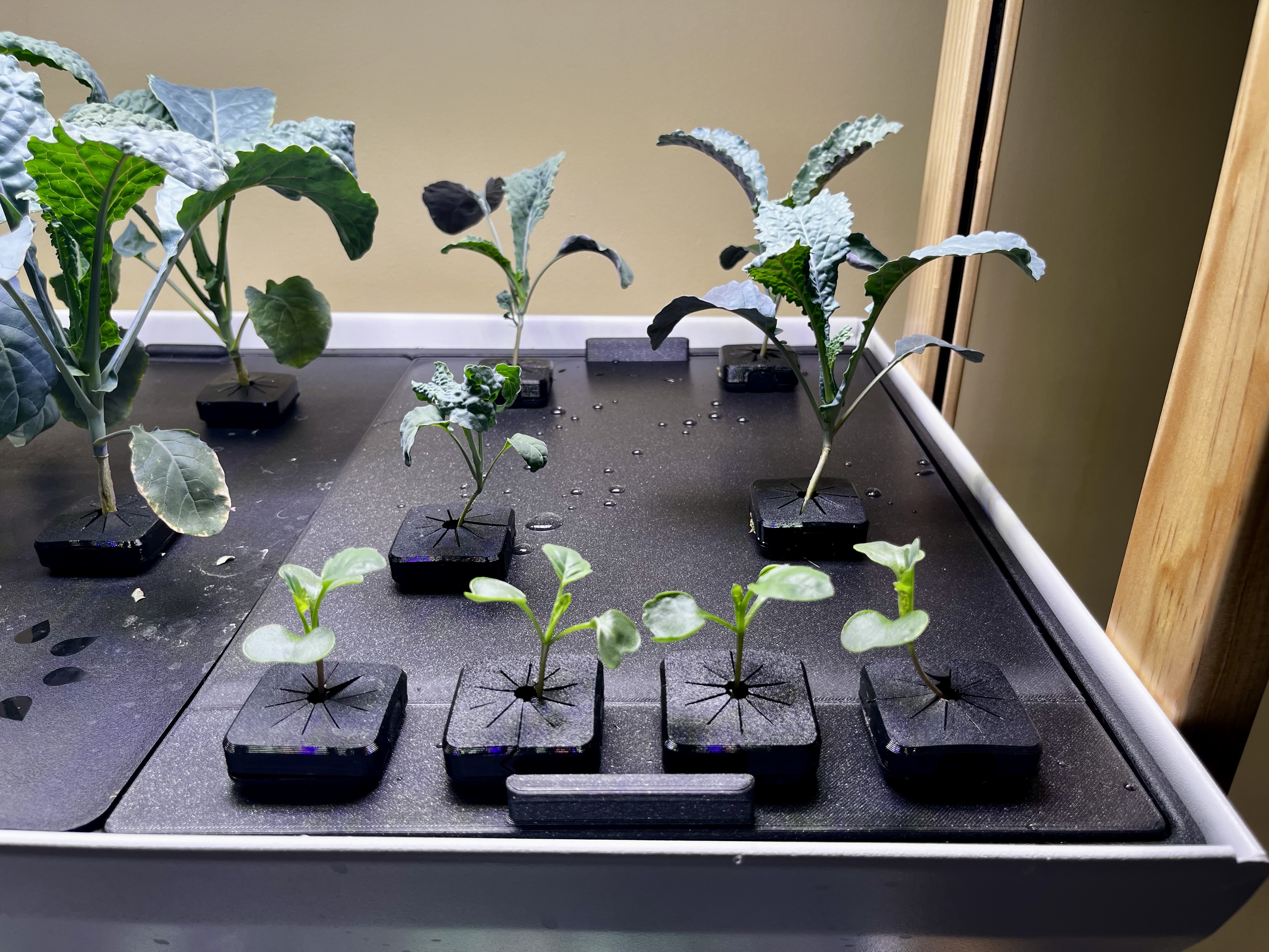 Optimized 8 Pod Tray Lid for Rise Gardens