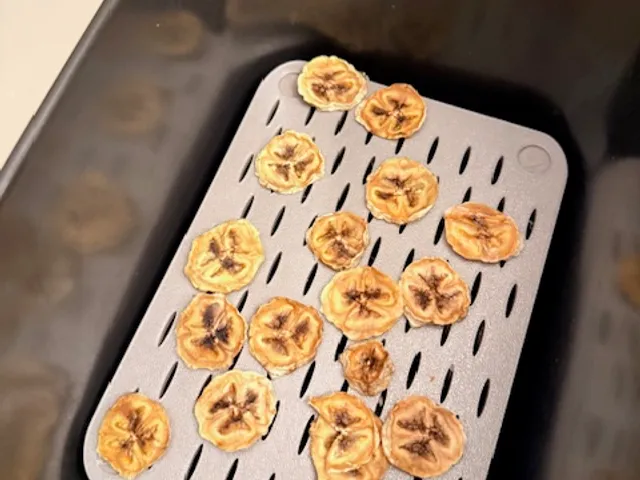 Stackable Dehydrator Trays for fruit, art, etc.