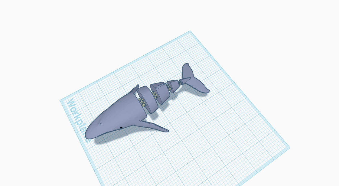 flexi whale