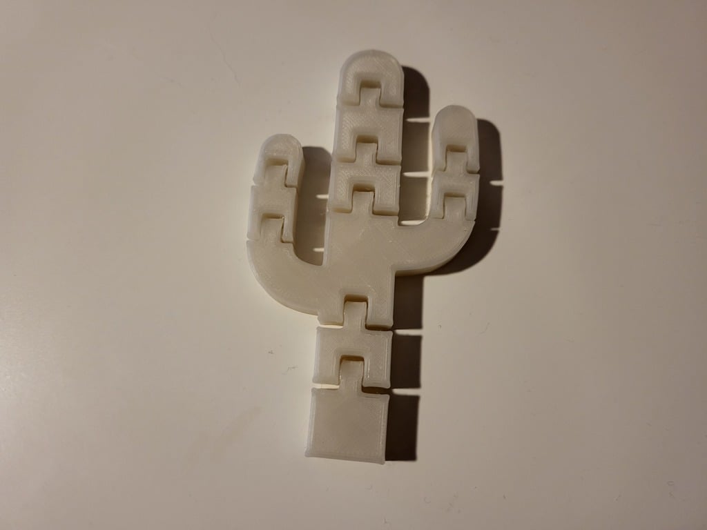 Flexi Cactus