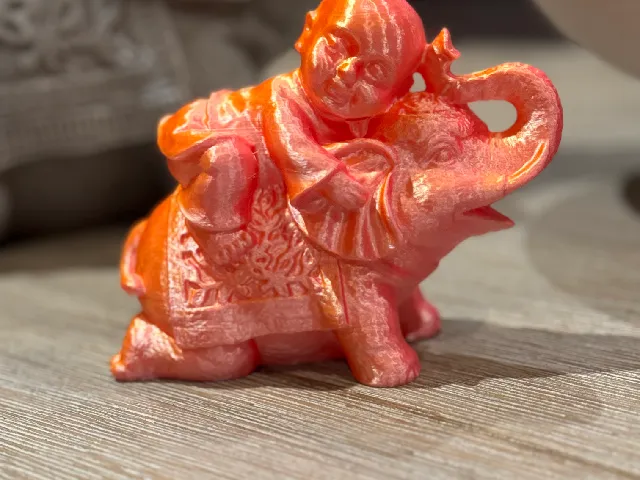 Shaolin Monk on a Elephant