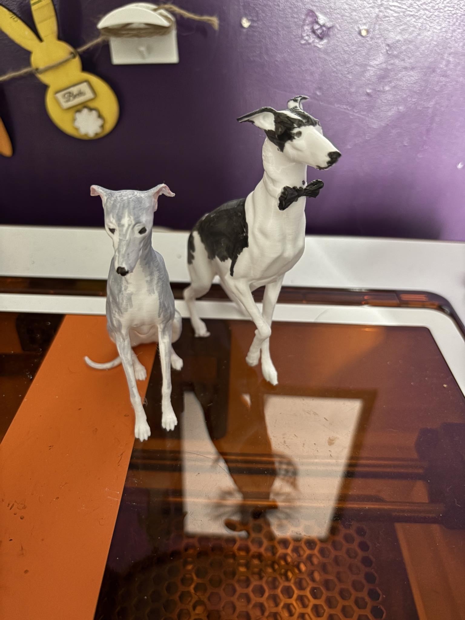 whippets
